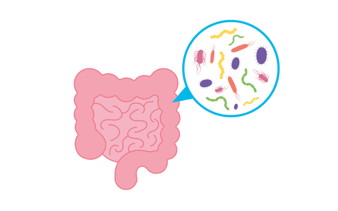 Vooruitgang in de kennis van het microbioom van de huid