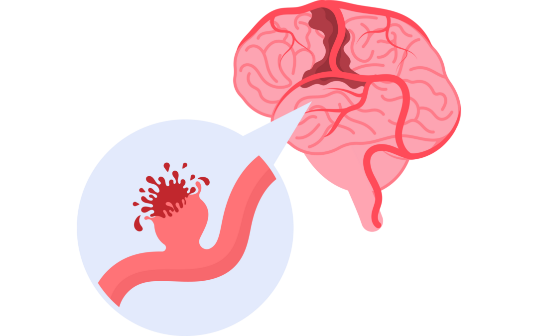 Onderzoekers leggen uit hoe bloedvaten in de hersenen ontstaan