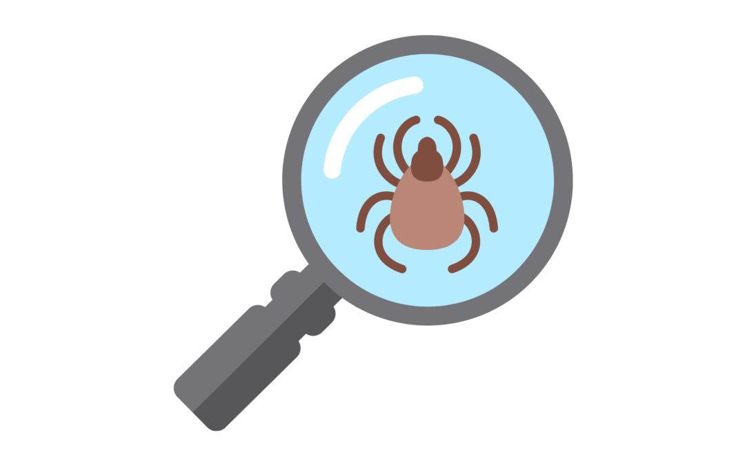 Ongeveer 1 op de 5 teken draagt de ziekte van Lyme