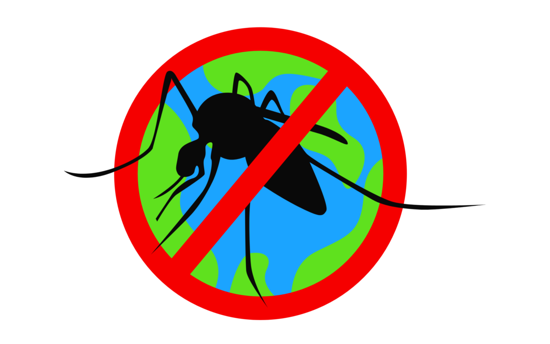 Chikungunya: dringend actie nodig om epidemieën te voorkomen