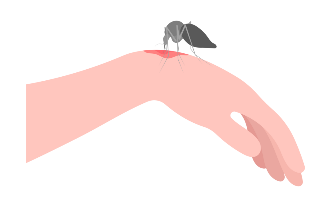Dreigt het westnijlvirus ook in ons land?
