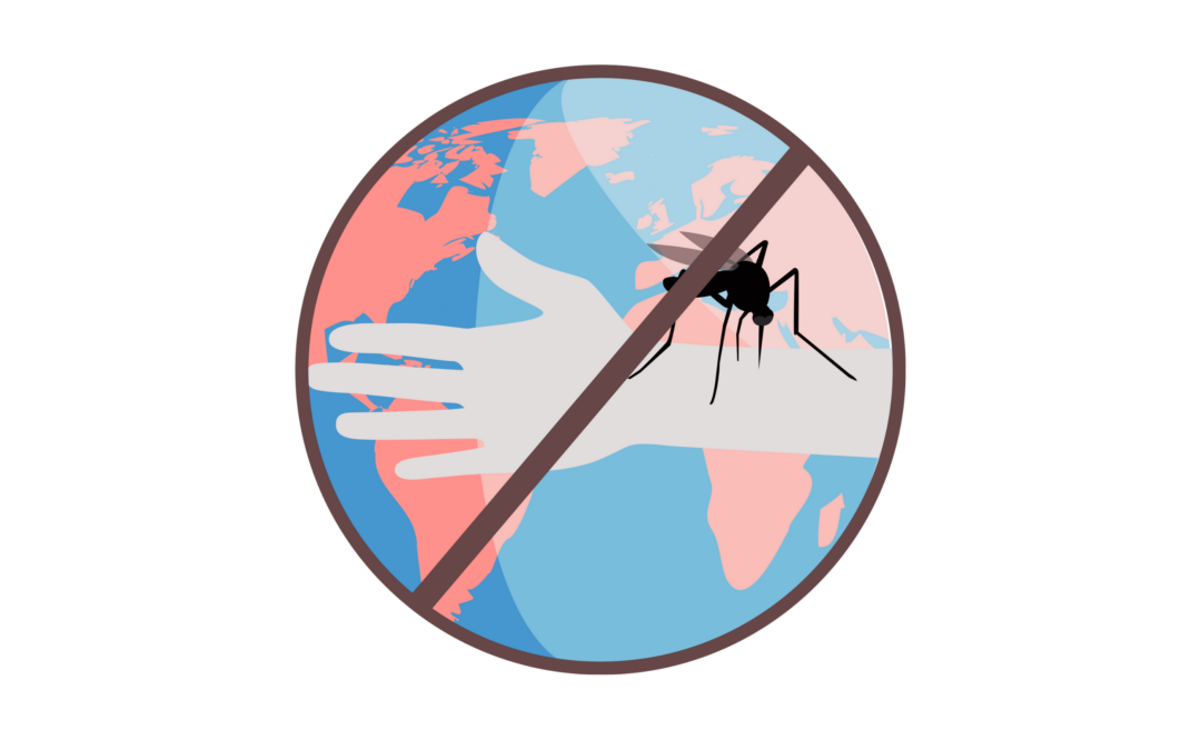 KUL-onderzoekers ontwikkelen behandeling voor ernstige malaria