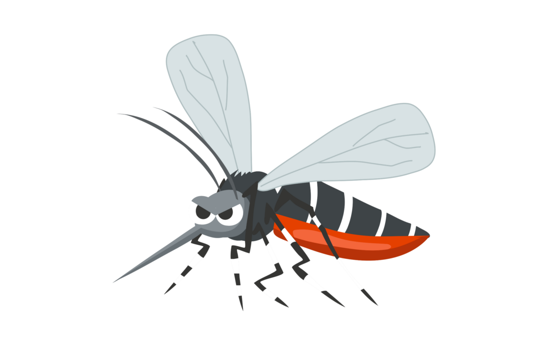 De top 3 tropische infecties die reizigers deze zomer opliepen