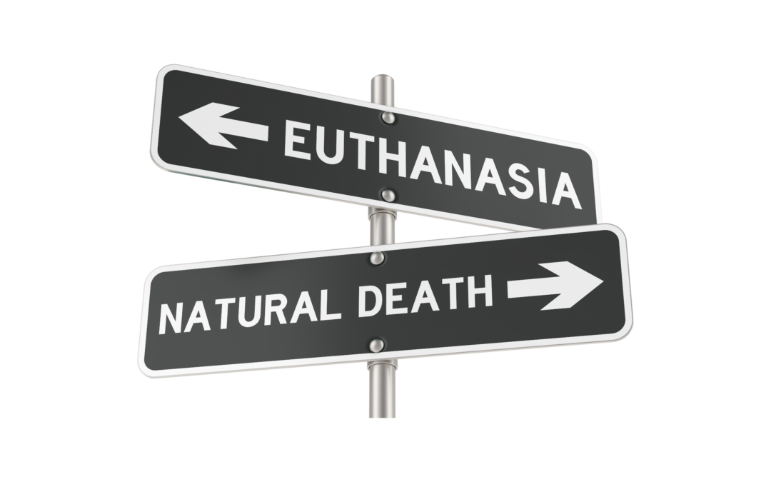 Euthanasie: het Comité voor Bio-ethiek beveelt een ‘uitgebreider systeem voor wilsverklaringen’ aan