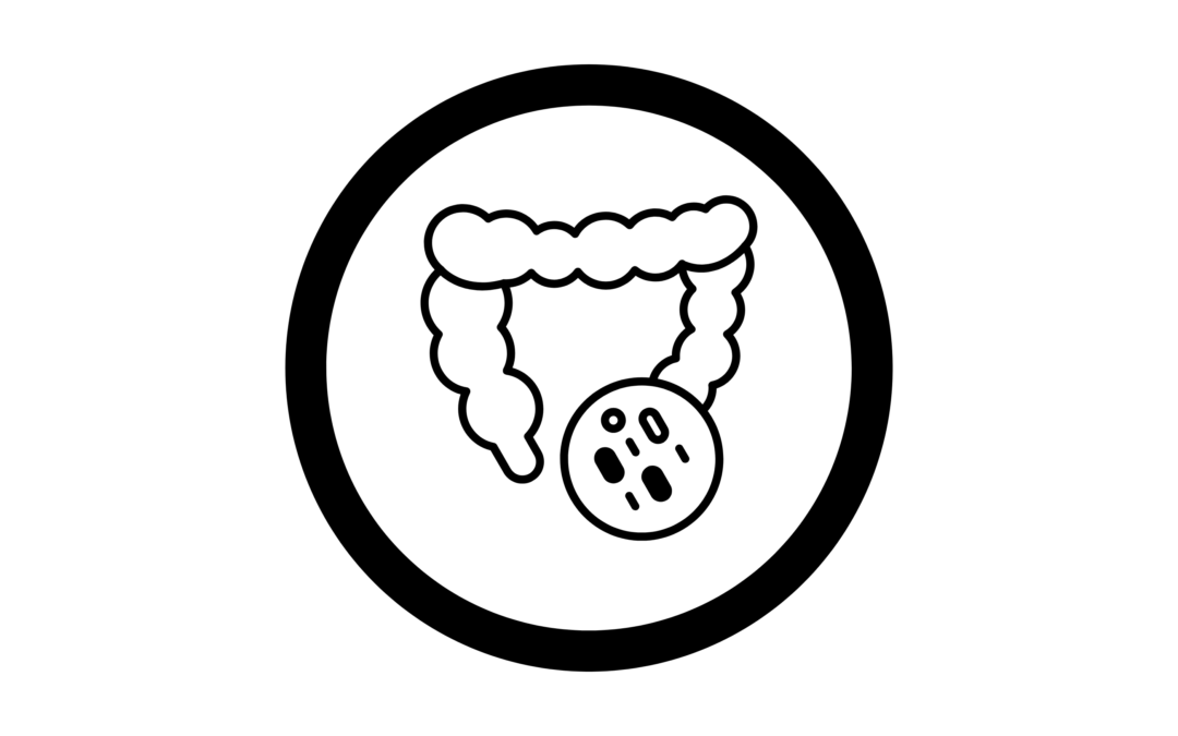 Belangrijke ontdekking bij de darmmicrobiota