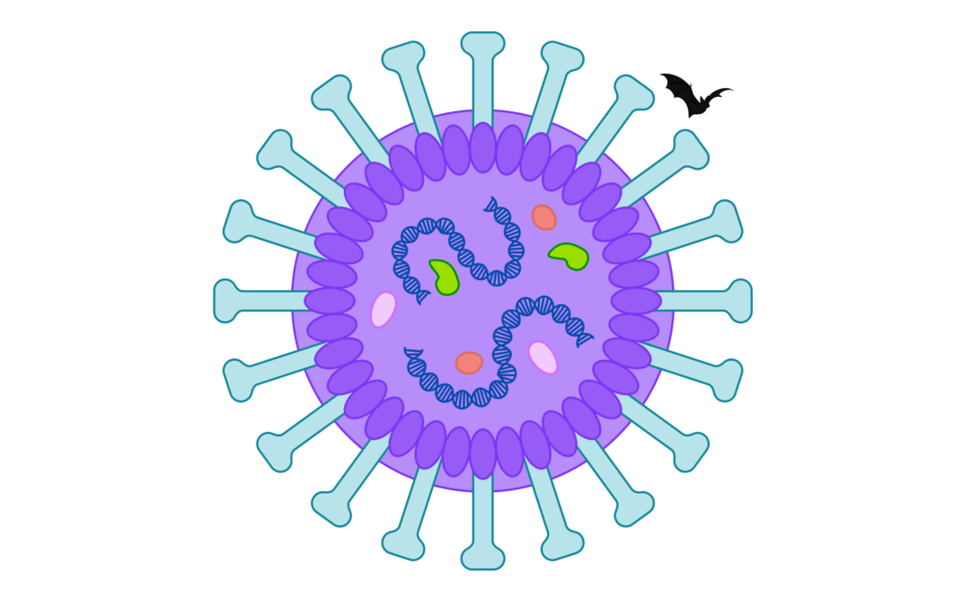 Nipah-virus: nieuwe uitbraak in India en wereldwijde alertheid