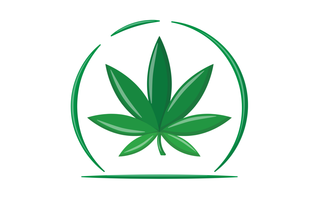 Cannabidiol – CBD: EFSA legt voorlopige veilige grenswaarden vast