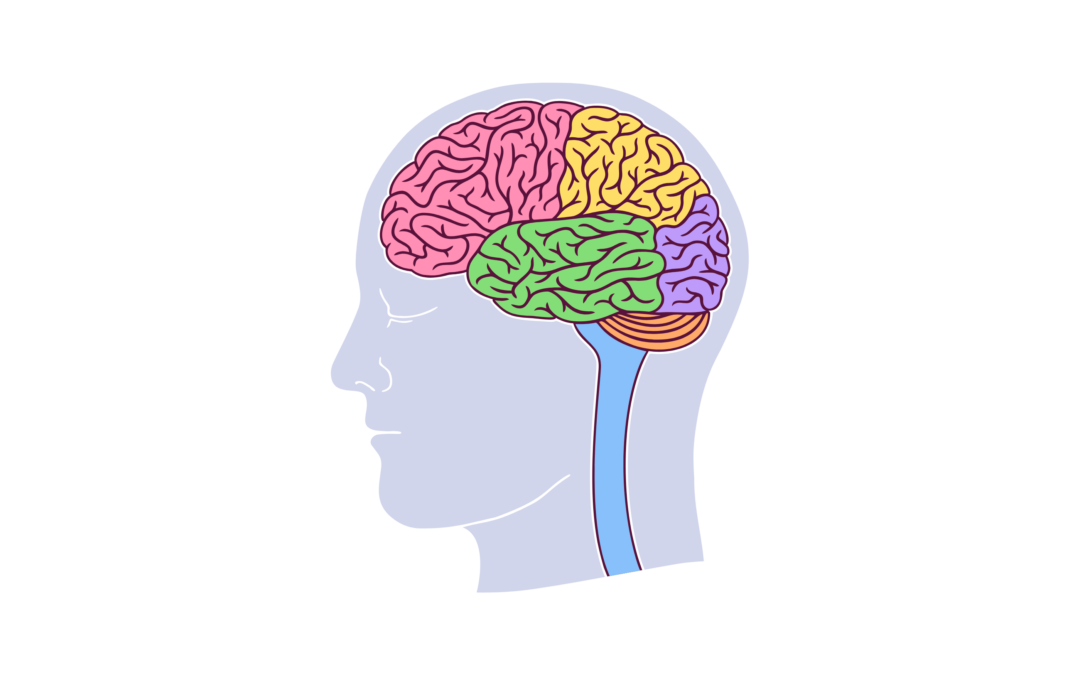 Belgische onderzoekers identificeren risicofactor voor frontotemporale dementie