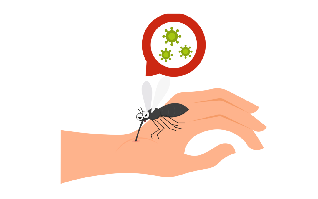 West-Nijlvirus : verspreiding nu ook vastgesteld in België